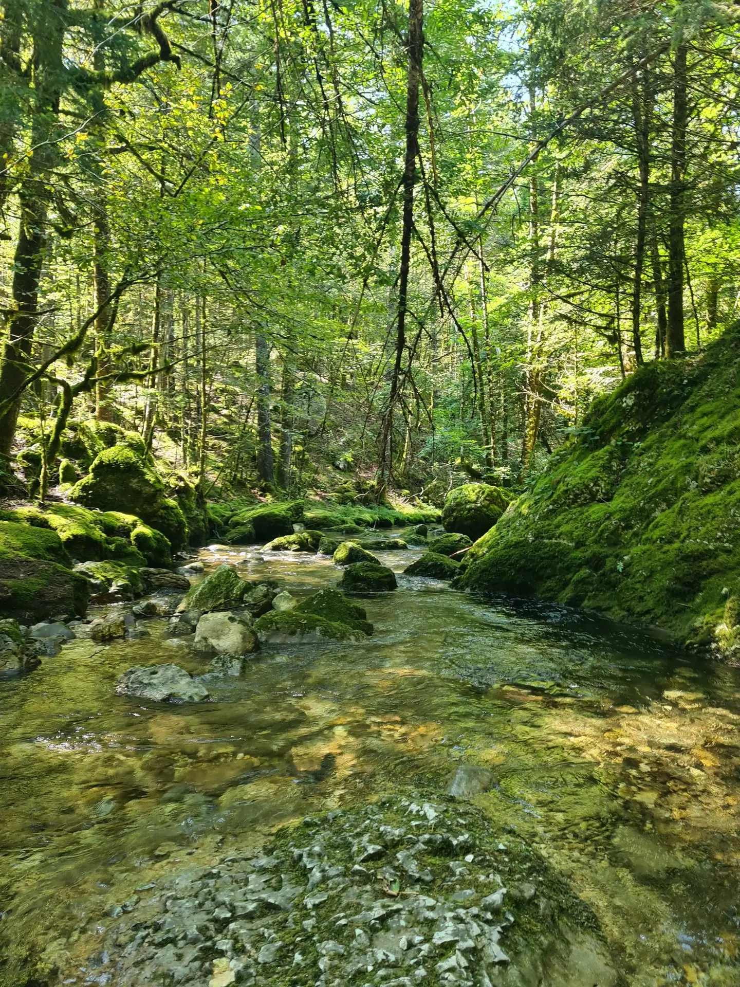 kinesiologie-avignon-vaucluse_nature3