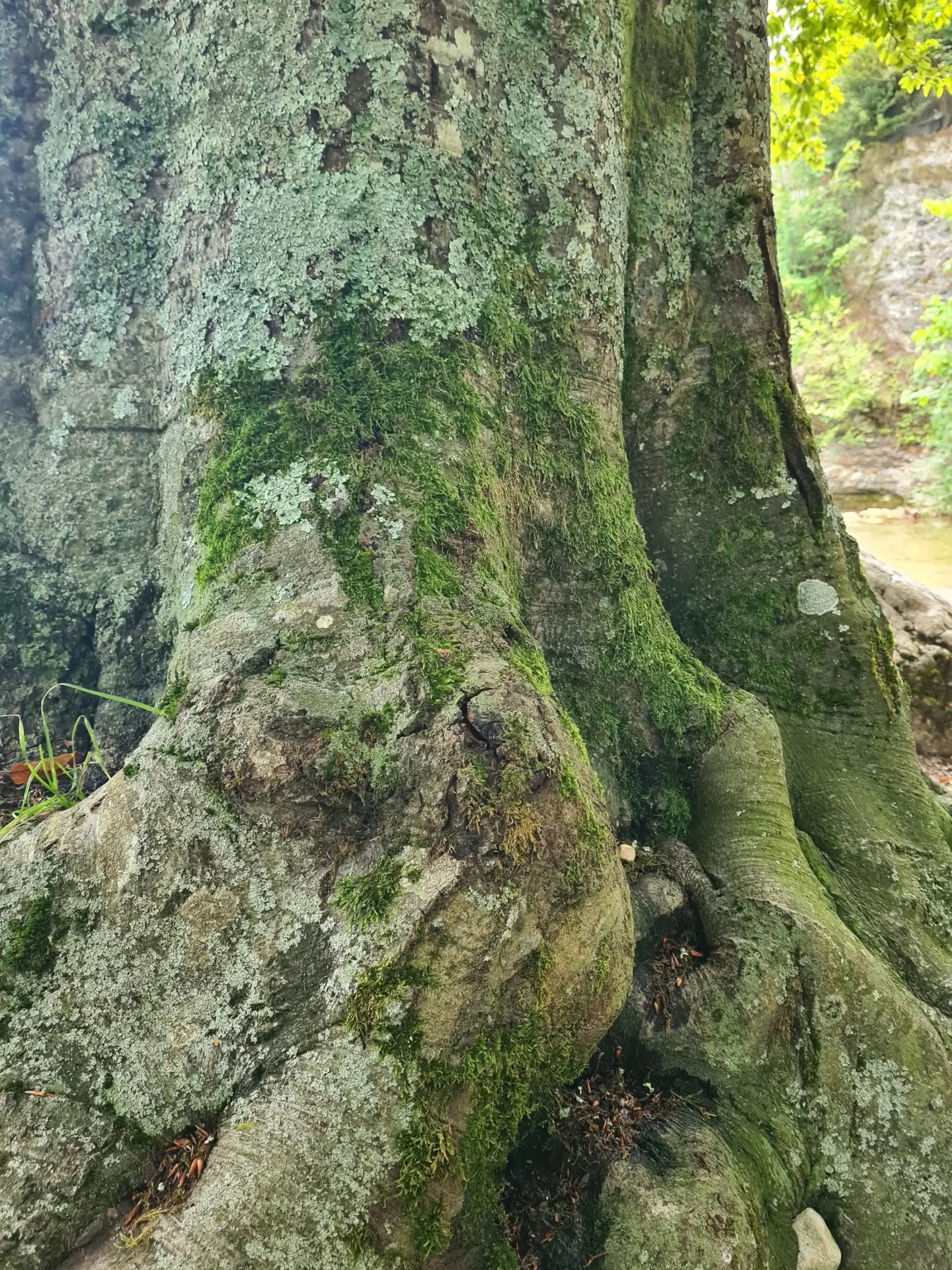 kinesiologie-avignon-vaucluse_nature7